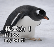875353114