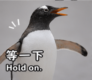 875353115