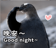 875353125