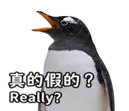 875353128