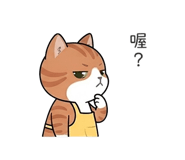 875353520
