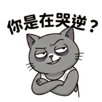 875354231