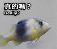 875356555