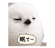 875358300