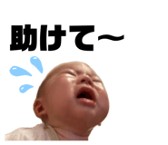 875358365