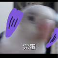875360305