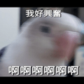 875360314