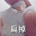 875366684