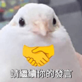 875366686