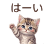 875375184