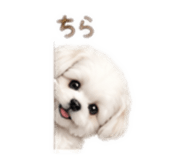875375880