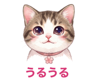875385055