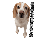 875386956