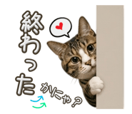 875387780