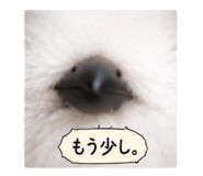 875392029