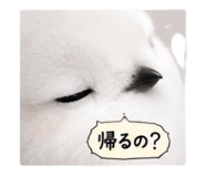 875392037