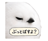 875392046