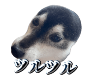 875398762