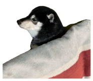 875398763