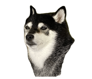 875398770