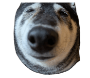 875398773
