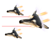 875398778