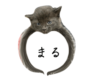 875398780