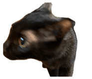 875398788