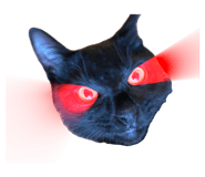 875398789