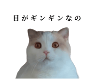 875399217