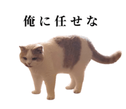 875399220