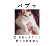 875399221