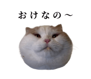 875399222