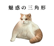 875399223