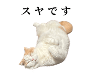 875399224