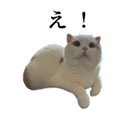 875399225