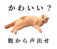 875399226