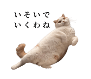 875399228
