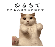 875399229