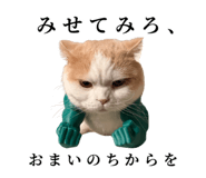 875399230