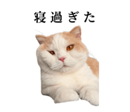 875399231