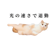 875399233
