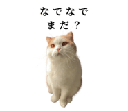 875399234