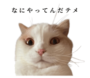 875399235