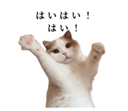 875399237