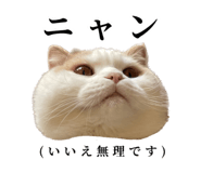 875399239