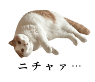 875399242