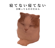 875399246