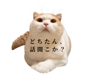 875399249