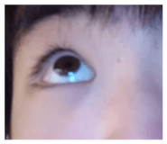 875409553